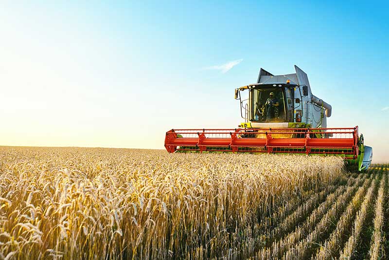Combine Harvester